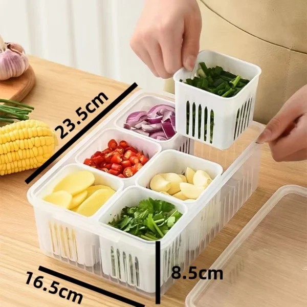 Kotak Penyimpanan Sayur 6 Sekat