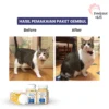 Pawsitive Vibes Vitamin Kucing – Bulu Gembul & Nafsu Makan